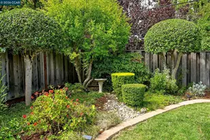 4268 Orangewood Ct, Concord, CA 94521 - Photo 29