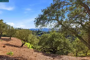 128 Diablo View Dr, Orinda, CA 94563 - Photo 51