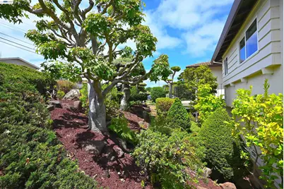 21714 Shadyspring Rd, Castro Valley, CA 94546 - Photo 7
