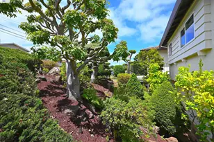 21714 ShadySpring Rd, Castro Valley, CA 94546 - Photo 7