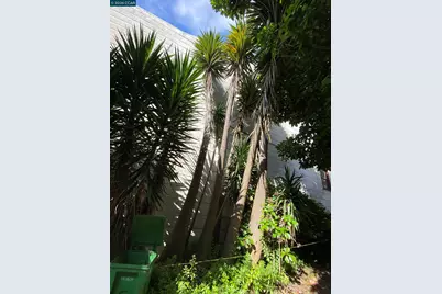 3529 Mission St, San Francisco, CA 94110 - Photo 1