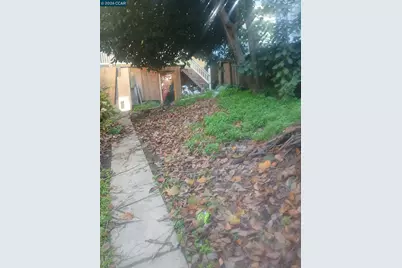 3529 Mission St, San Francisco, CA 94110 - Photo 5