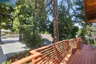 17460 Vineyard Rd, Castro Valley, CA 94546 - Photo 69
