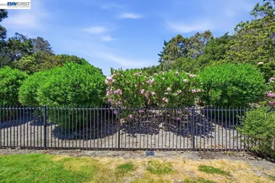 165 Rosario Ct, San Ramon, CA 94583 - Photo 59