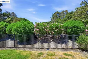 165 Rosario Ct, San Ramon, CA 94583 - Photo 59