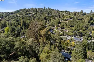 45 Sleepy Hollow Ln, Orinda, CA 94563 - Photo 45