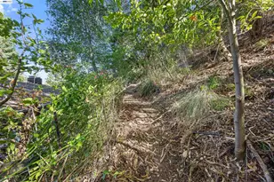 45 Sleepy Hollow Ln, Orinda, CA 94563 - Photo 41