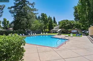 1885 Olmo Way, Walnut Creek, CA 94598 - Photo 41
