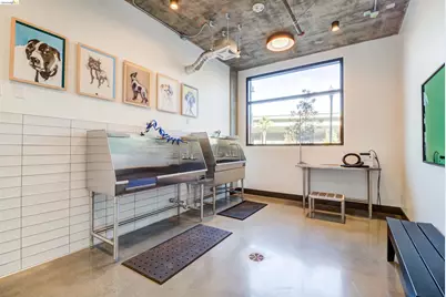 260 Brooklyn Basin Way #533, Oakland, CA 94606 - Photo 31
