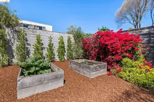 551 Richmond St, El Cerrito, CA 94530 - Photo 25