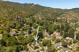 250 La Serena Ave, Alamo, CA 94507 - Photo 41