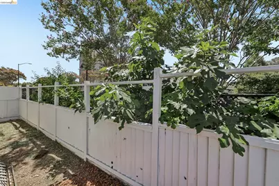 807 Myrtle St, Oakland, CA 94607 - Photo 33