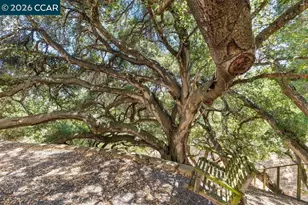 11183 Brittany Ln, Dublin, CA 94568 - Photo 53