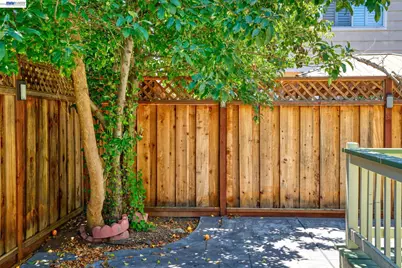 1059 Bellflower St, Livermore, CA 94551 - Photo 29