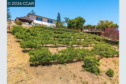 385 Paraiso Dr, Danville, CA 94526 - Photo 67