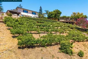 385 Paraiso Dr, Danville, CA 94526 - Photo 67