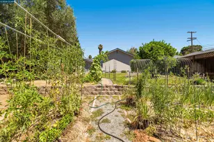 3644 Walnut Ave, Concord, CA 94519 - Photo 29