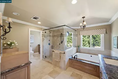 700 Blue Spruce Dr, Danville, CA 94506 - Photo 29