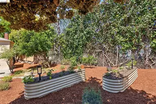 1133 Walnut St, Berkeley, CA 94707 - Photo 53