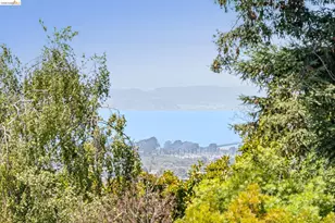 1133 Walnut St, Berkeley, CA 94707 - Photo 67
