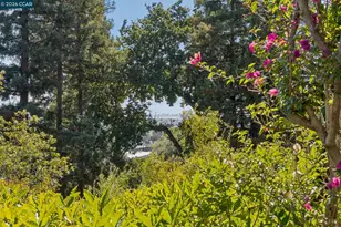 2388 Vine St, Berkeley, CA 94708 - Photo 45