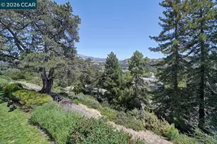 2416 Golden Rain, Walnut Creek, CA 94595 - Photo 15