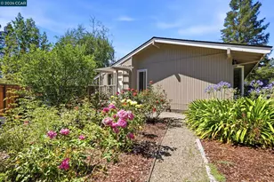 165 Selborne Way, Moraga, CA 94556 - Photo 49
