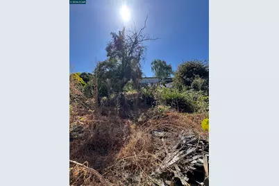 3700 Laguna Ave, Oakland, CA 94602 - Photo 11