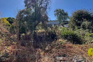 3700 Laguna Ave, Oakland, CA 94602 - Photo 11