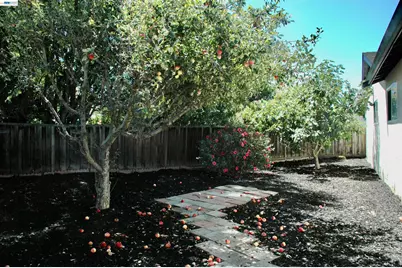 35515 Dee Place, Fremont, CA 94536 - Photo 41