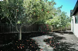 35515 Dee Pl, Fremont, CA 94536 - Photo 41