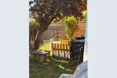 [Address not provided], Albany, CA 94706 - Photo 7