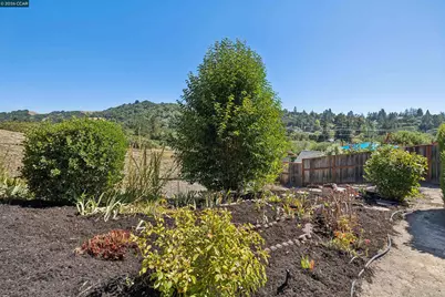 267 Fernwood Dr, Moraga, CA 94556 - Photo 41