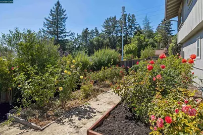 267 Fernwood Dr, Moraga, CA 94556 - Photo 45