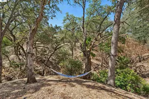 135 St Germain Ln, Pleasant Hill, CA 94523 - Photo 69