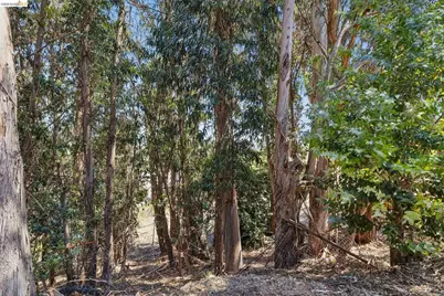 1813 Brentz Ln, San Pablo, CA 94806 - Photo 73