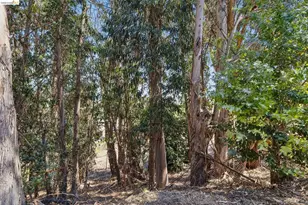 1813 Brentz Ln, San Pablo, CA 94806 - Photo 73