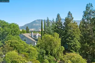 921 Arrowhead Terrace, Clayton, CA 94517 - Photo 39