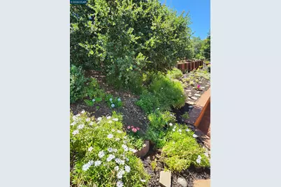 5530 Merritt Dr, Concord, CA 94521 - Photo 43