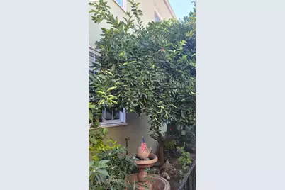 1908 38th Ave, Oakland, CA 94601 - Photo 17