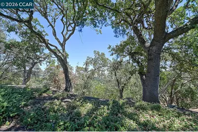 2724 Ptarmigan Dr #8, Walnut Creek, CA 94595 - Photo 19