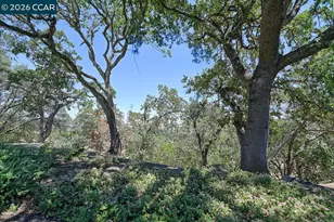 2724 Ptarmigan Dr, Walnut Creek, CA 94595 - Photo 19