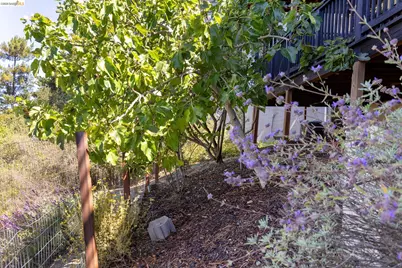 6930 Snake Rd, Oakland, CA 94611 - Photo 45