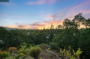 2426 Heritage Oaks Dr, Alamo, CA 94507 - Photo 53