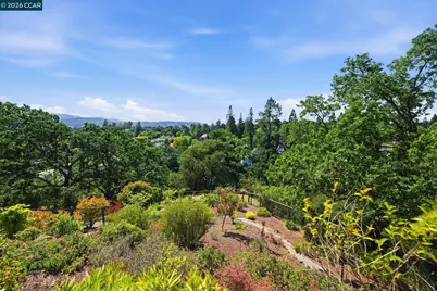 2426 Heritage Oaks Dr, Alamo, CA 94507 - Photo 25
