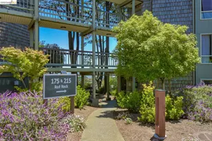 175 Red Rock Way, San Francisco, CA 94131 - Photo 13