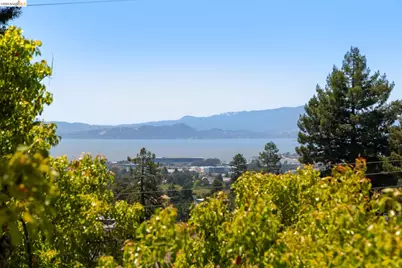 1409 Scenic Ave, Berkeley, CA 94708 - Photo 49