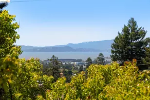 1409 Scenic Ave, Berkeley, CA 94708 - Photo 49