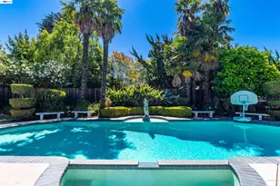 259 Segovia Pl, Fremont, CA 94539 - Photo 75