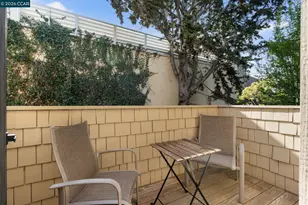 443 College Ave, Palo Alto, CA 94306 - Photo 45